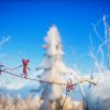 unravel-screen-04-ps4-eu-16jun15