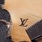 louis-vuitton-WOLV_LM_Brand_protection_DI3